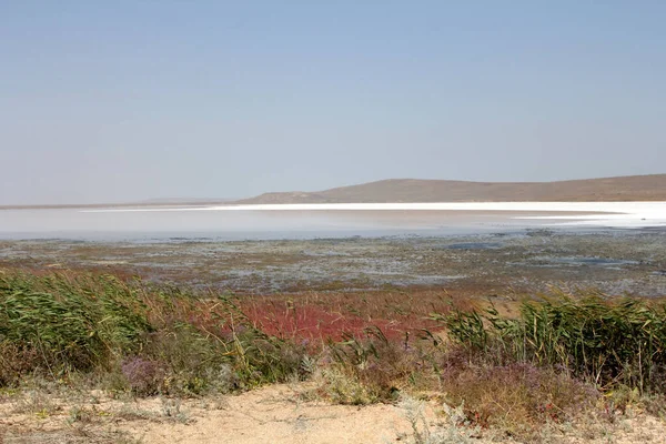 Paisagem Lago Salgado Deserto Sem Vida — Fotografia de Stock
