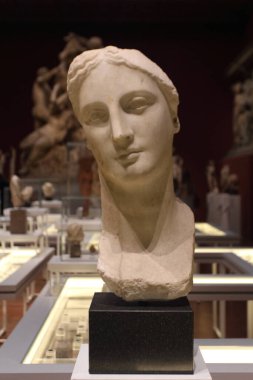 Puşkin Güzel Sanatlar Müzesi Moskova, Rusya 'daki en büyük Avrupa sanat müzesidir..