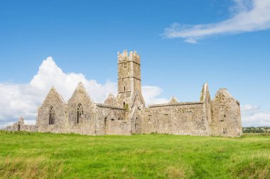 1351 kurulan ve Dublin County Galway yakınında yer alan, Ross Errilly Friary tiyatrosuyla Ortaçağ manastır siteler İrlanda biridir.