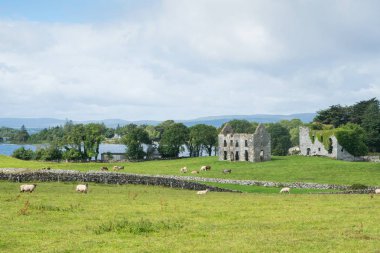 Annaghkeen Kalesi, County Galway, İrlanda için Lough Corrib yanında yer alan bir görünümü.