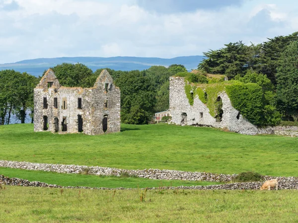 Annaghkeen Kalesi, County Galway, İrlanda için Lough Corrib yanında yer alan bir görünümü.