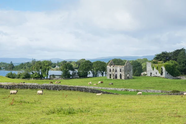 Annaghkeen Kalesi, County Galway, İrlanda için Lough Corrib yanında yer alan bir görünümü.