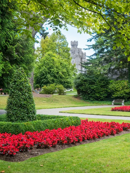 Замок Ешфорд Велика Британія Серпня 2018 Сад Ешфорд Замок Середньовіччя — стокове фото