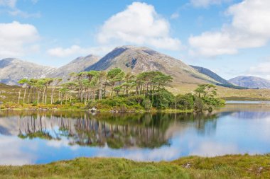 İrlanda 'nın Galway ilçesi Inagh Vadisi' ndeki Derryclare Lough 'a yansıyan dağlık bir manzara..