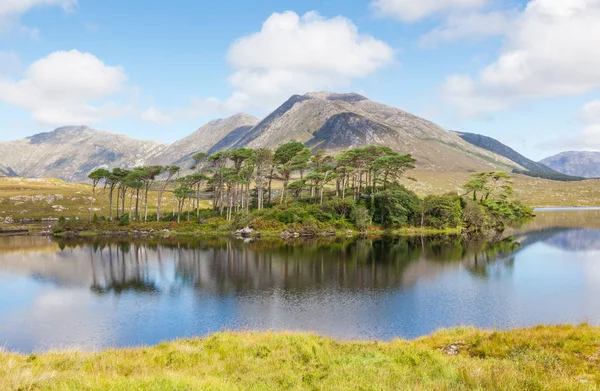 アイルランドのゴールウェイ郡インガー バレーのデリキュリー ラフに反映された山岳風景 — ストック写真