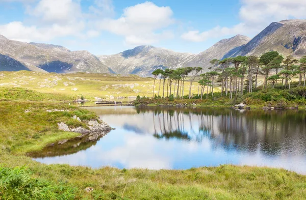 アイルランドのゴールウェイ郡インガー バレーのデリキュリー ラフに反映された山岳風景 — ストック写真