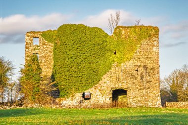 Moyne Castle, bir döner merdiven ile büyük bir kare kule 16 uzanıyor. Dublin şehir yakınındaki County Galway ve County Mayo, sınırındaki Black River yanında duruyor.
