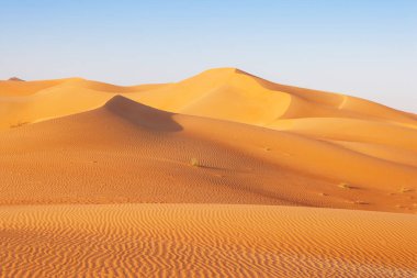 Kumul manzara rub al hali veya boş çeyrek. Umman, Suudi Arabistan, Birleşik Arap Emirlikleri ve yemen straddling, burası dünyanın en büyük Kum Çölü.