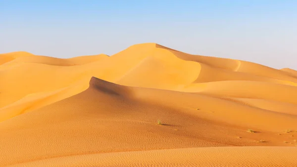 Eine Dünenlandschaft Rub Khali Oder Leeren Viertel Zwischen Oman Saudi — Stockfoto