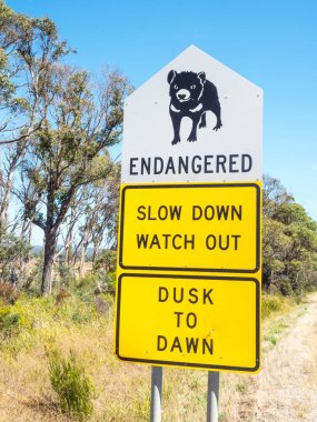 Tazmanya Canavarı Tabelası