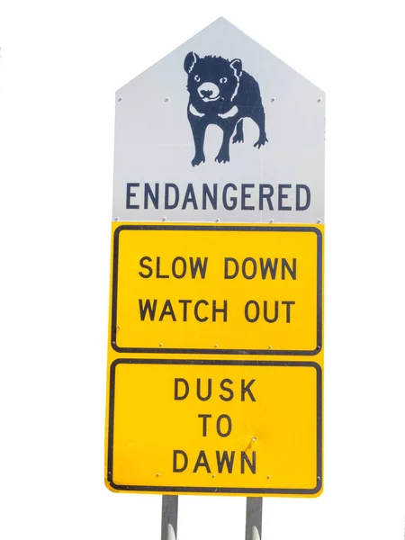 Tasmanian Devil Signboard — Stock Photo, Image