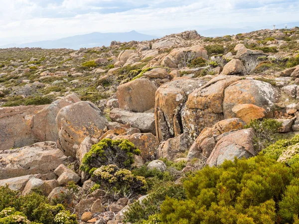 Ein plateau auf dem berg wellington — Stockfoto