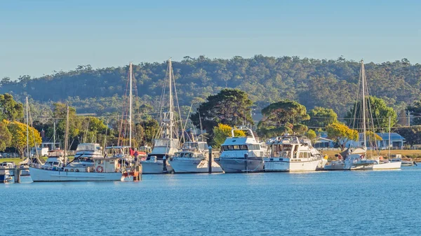 Båtar i St Helens, Tasmanien — Stockfoto