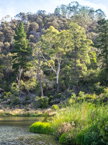 Primera Cuenca Desfiladero Cataratas Sección Inferior Del Río Esk Sur — Foto de Stock