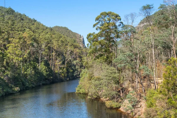 Vierter Fluss in Tasmanien — Stockfoto