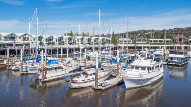 Launceston Limanı Tazmanya'da