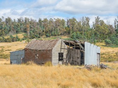 Tazmanya'da Terk Edilmiş Kulübe