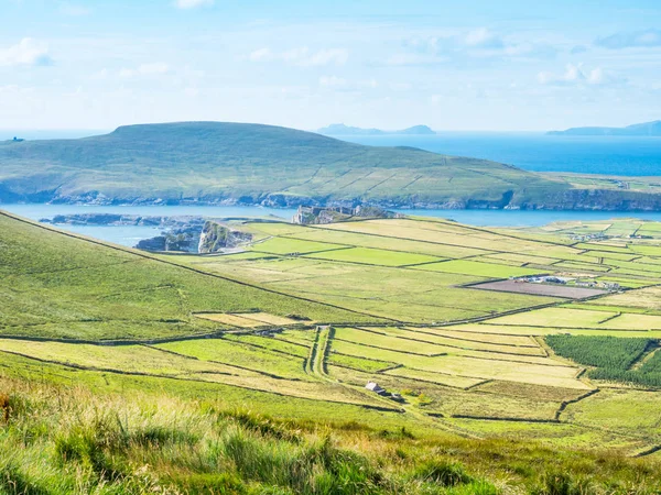Meadows Near the Kerry Cliffs — Stock Photo, Image