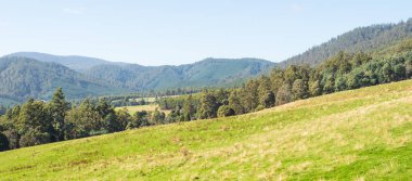 Tasman Otoyolu 'ndan Görünüm