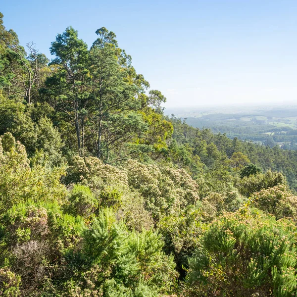 The Sideling Lookout — Stock Photo, Image