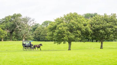 Killarney Ulusal Parkı 'nda sarsıcı bir araba.