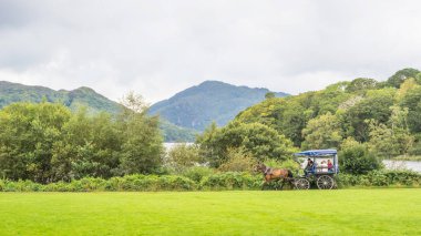 A Jaunting Car in Killarney National Park clipart
