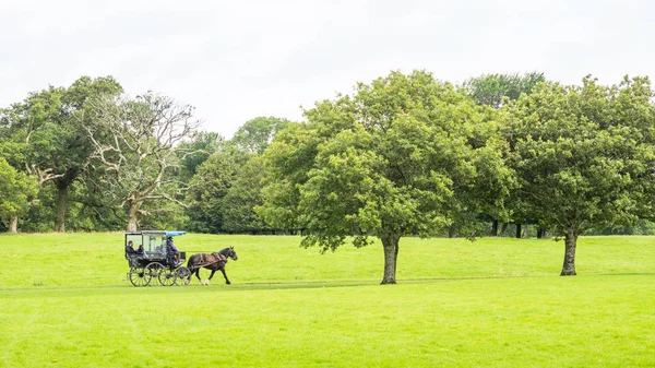 Kiránduló autó a Killarney Nemzeti Parkban — Stock Fotó