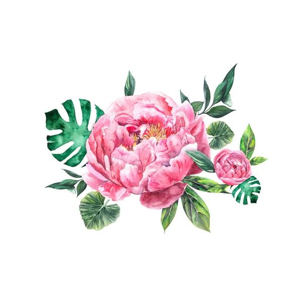 Kompozycje akwarelowe, bukiet z różowymi piwonami, liście — Zdjęcie stockowe
