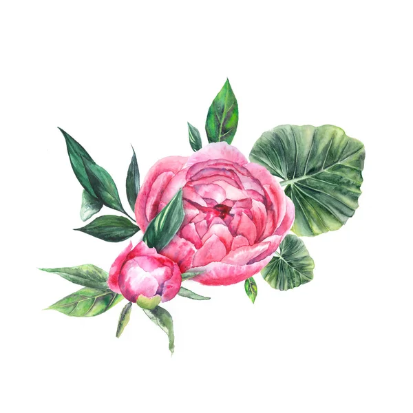 Акварельные композиции, букет с розовыми пионами, листья — стоковое фото