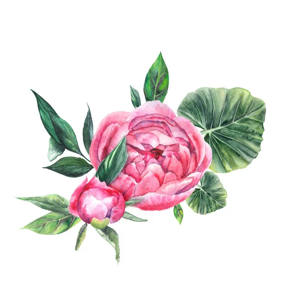 Aquarellkompositionen, Strauß mit rosa Pfingstrosen, Blätter — Stockfoto