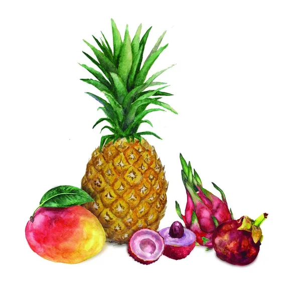 Clip konst, akvarell sammansättning med exotiska tropiska frukter — Stockfoto