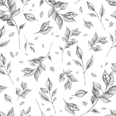 Yaprakları ve dalları olan kusursuz bir bağ dokusu.