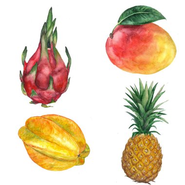Suluboya el çizimi egzotik meyveler. Tropik meyveler. Ejderha meyvesi, yıldız meyvesi, mango, ananas