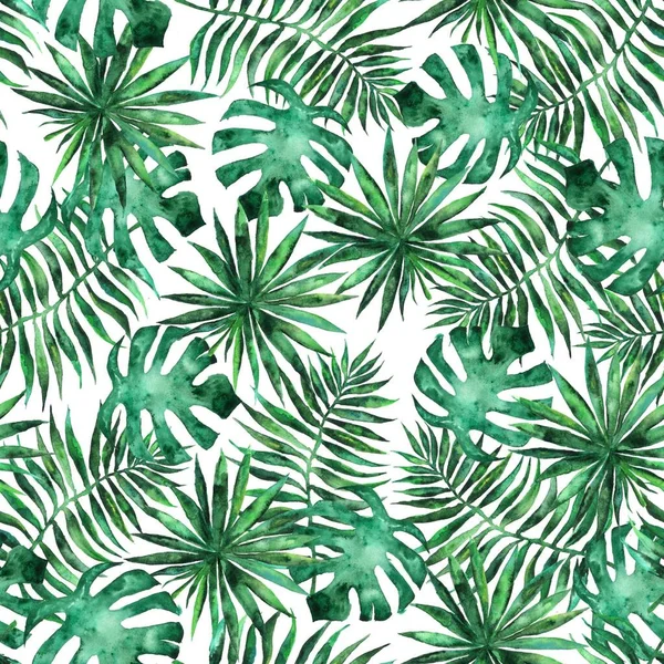 Nahtloses Muster mit Blättern und Brunches tropischer Pflanzen — Stockfoto