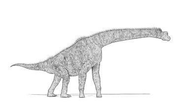 Beyaz arka plan üzerinde izole dinozor siyah ve beyaz 3d kroki 