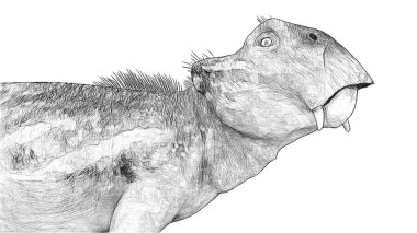 Beyaz arka plan üzerinde izole dinozor siyah ve beyaz 3d kroki 