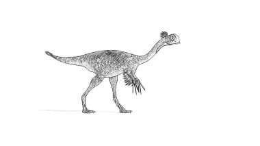 Beyaz arka plan üzerinde izole dinozor siyah ve beyaz 3d kroki 