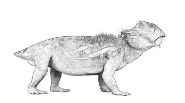 Beyaz arka plan üzerinde izole dinozor siyah ve beyaz 3d kroki 