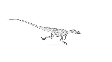 Beyaz arka plan üzerinde izole dinozor siyah ve beyaz 3d kroki 