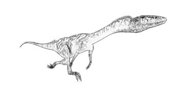 Beyaz arka plan üzerinde izole dinozor siyah ve beyaz 3d kroki 