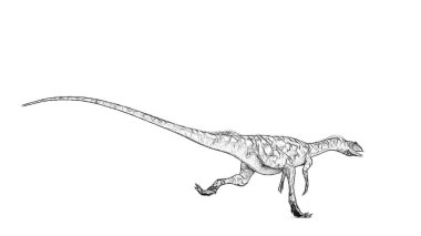 Beyaz arka plan üzerinde izole dinozor siyah ve beyaz 3d kroki 