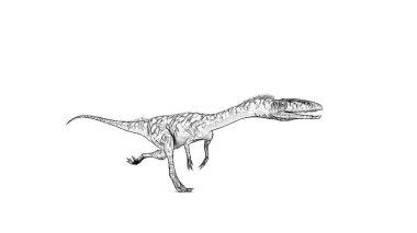 Beyaz arka plan üzerinde izole dinozor siyah ve beyaz 3d kroki 