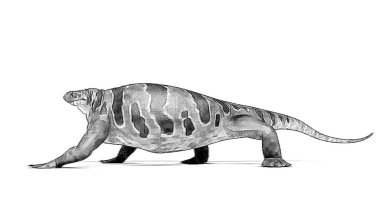 Beyaz arka plan üzerinde izole dinozor siyah ve beyaz 3d kroki 