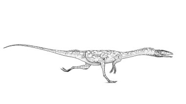 Beyaz arka plan üzerinde izole dinozor siyah ve beyaz 3d kroki 