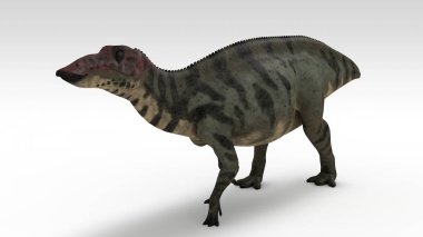 Beyaz arka planda izole dinozor Renkli 3d illüstrasyon