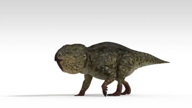 Beyaz arka planda izole dinozor Renkli 3d illüstrasyon