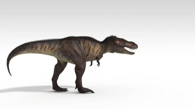 beyaz izole tyrannosaurus 3D render
