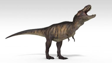 beyaz izole tyrannosaurus 3D render