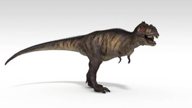 beyaz izole tyrannosaurus 3D render