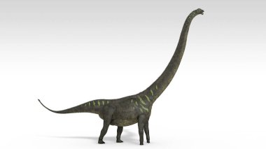 beyaz izole mamenchisaurus dinozor 3D render